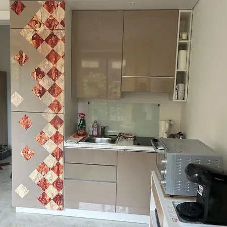 公寓 Apparemment - Jardin Exotique - 45 Metres Carres 蒙特卡罗